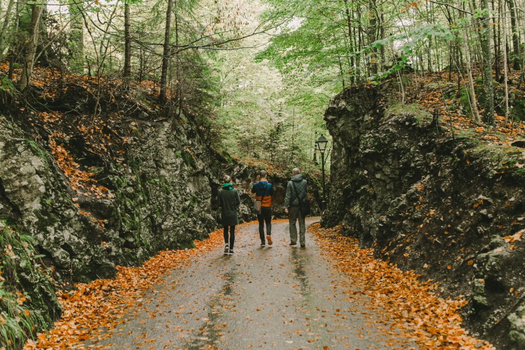 Three people walking on a forest pathway surrounded by autumn foliage.